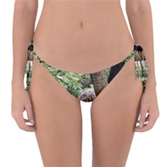 Garden Of The Phoenix Reversible Bikini Bottom by Riverwoman