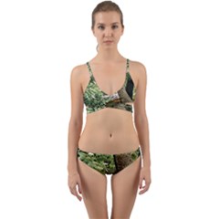 Garden Of The Phoenix Wrap Around Bikini Set by Riverwoman