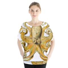 Animal Art Forms In Nature Clips Batwing Chiffon Blouse