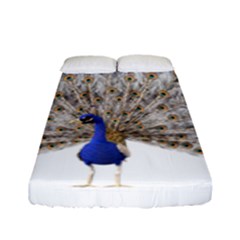 Peacock Colorful Bird Feather Blue Fitted Sheet (full/ Double Size) by Wegoenart