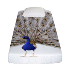 Peacock Colorful Bird Feather Blue Fitted Sheet (single Size) by Wegoenart