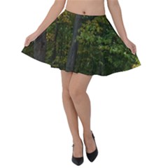 Dark Green Leaves Velvet Skater Skirt