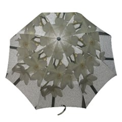 Paperwhite Folding Umbrellas by Riverwoman