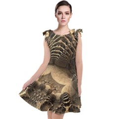 Fractal Bones Cave Fossil Render Tie Up Tunic Dress by Pakrebo