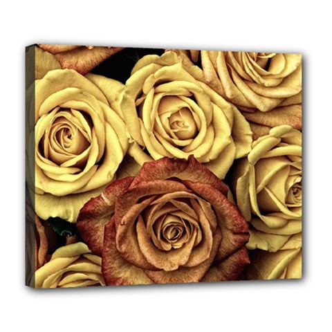 Roses Flowers Love Red Plant Deluxe Canvas 24  X 20  (stretched)