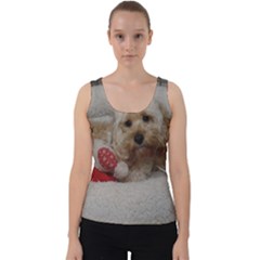 Cockapoo In Dog s Bed Velvet Tank Top by pauchesstore
