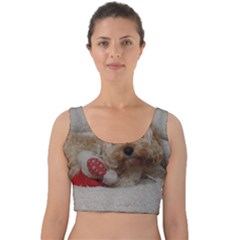 Cockapoo In Dog s Bed Velvet Crop Top by pauchesstore