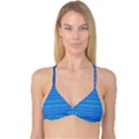 Stunning Luminous Blue Micropattern Magic Reversible Tri Bikini Top View3