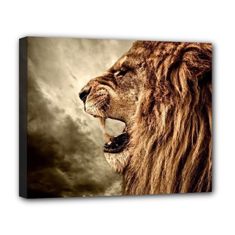 Roaring Lion Deluxe Canvas 20  X 16  (stretched) by Sudhe