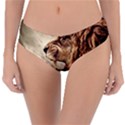 Roaring Lion Reversible Classic Bikini Bottoms View3