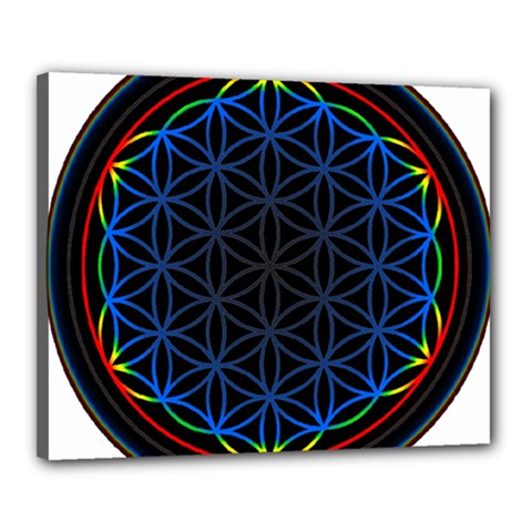 Flower Of Life Canvas 20  X 16  (stretched)