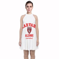 Harvard Alumni Just Kidding Velvet Halter Neckline Dress  by Sudhe
