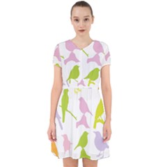 Bird Watching - Colorful Pastel Adorable In Chiffon Dress by WensdaiAmbrose