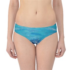 Into The Chill  Hipster Bikini Bottoms by arwwearableart