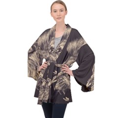 Angry Male Lion Velvet Kimono Robe