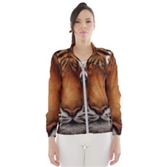 The Tiger Face Windbreaker (women)