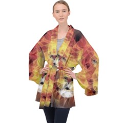 Fractal Lion Velvet Kimono Robe