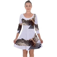 Eagle Quarter Sleeve Skater Dress by Sudhe