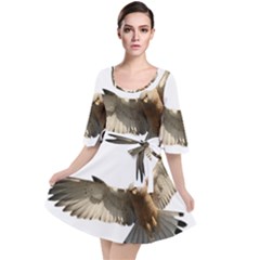 Eagle Velour Kimono Dress by Sudhe