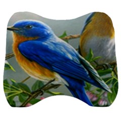 Loving Birds Velour Head Support Cushion by Sudhe