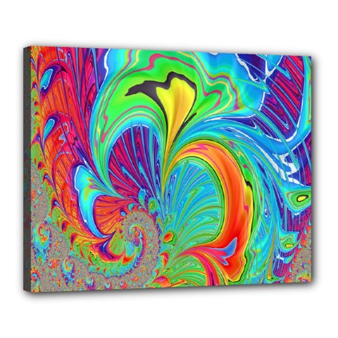 Fractal Art Psychedelic Fantasy Canvas 20  X 16  (stretched)