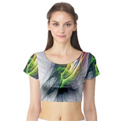 Fractal Art Paint Pattern Texture Short Sleeve Crop Top by Sudhe