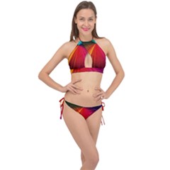 Background Color Colorful Rings Cross Front Halter Bikini Set by Sudhe