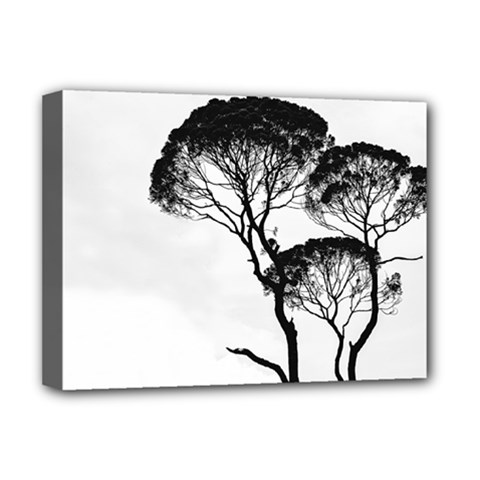 Silhouette Photo Of Trees Deluxe Canvas 16  X 12  (stretched) 