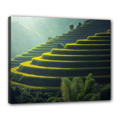 Scenic View Of Rice Paddy Canvas 20  X 16  (stretched)