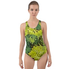 Garden Of The Phoenix Cut-out Back One Piece Swimsuit