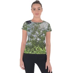 Lurie Garden Amsonia Short Sleeve Sports Top  by Riverwoman