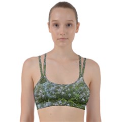 Lurie Garden Amsonia Line Them Up Sports Bra by Riverwoman