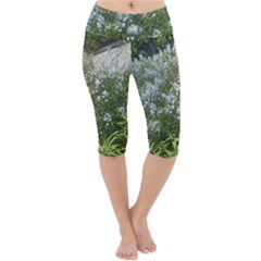 Lurie Garden Amsonia Lightweight Velour Cropped Yoga Leggings by Riverwoman