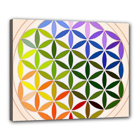 Mandala Rainbow Colorful Reiki Canvas 20  x 16  (Stretched)