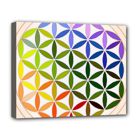 Mandala Rainbow Colorful Reiki Deluxe Canvas 20  x 16  (Stretched)