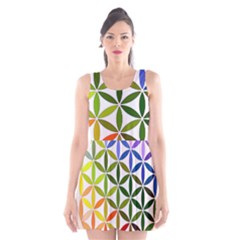 Mandala Rainbow Colorful Reiki Scoop Neck Skater Dress