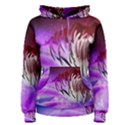 Clematis Structure Close Up Blossom Women s Pullover Hoodie View1