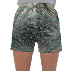 Peacock Bird Animal Feather Sleepwear Shorts by Pakrebo