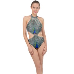 Peacock Bird Animal Feather Halter Side Cut Swimsuit by Pakrebo