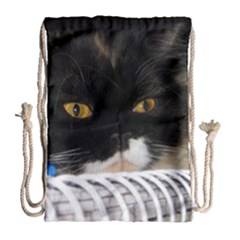 Cat Wanna Study Drawstring Bag (large) by LoolyElzayat