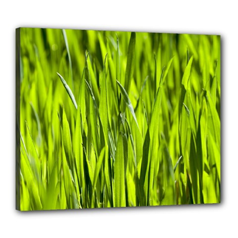 Agricultural Field   Canvas 24  X 20  (stretched) by rsooll