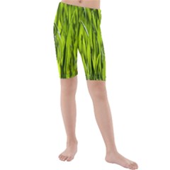 Agricultural Field   Kids  Mid Length Swim Shorts by rsooll
