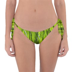 Agricultural Field   Reversible Bikini Bottom by rsooll