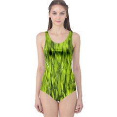 Agricultural Field   One Piece Swimsuit by rsooll