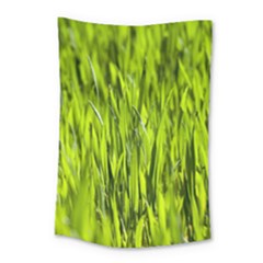 Agricultural Field   Small Tapestry by rsooll