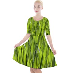 Agricultural Field   Quarter Sleeve A-line Dress by rsooll