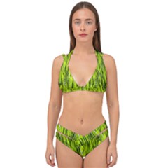 Agricultural Field   Double Strap Halter Bikini Set by rsooll