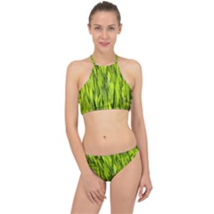 Agricultural Field   Racer Front Bikini Set by rsooll