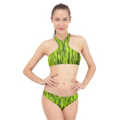 Agricultural Field   High Neck Bikini Set by rsooll