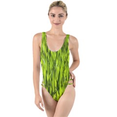 Agricultural Field   High Leg Strappy Swimsuit